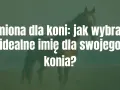 Imiona dla koni: jak wybrać idealne imię dla swojego konia? Piękny koń na tle zielonej łąki.
