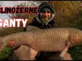 Czym się żywi amur - sekrety diety, które zaskoczą każdego akwarystę