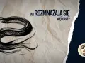 Jak rozmnażają się węgorze? Tajemnice ich niezwykłego cyklu życia