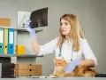 Czy wysterylizowana kotka znaczy teren? Powody i rozwiązania tego problemu