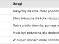 Czy koty mogą jeść szczypiorek? Sprawdź, jak go unikać dla zdrowia kota