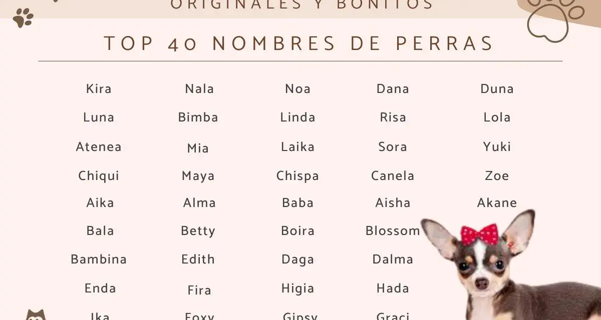 Lista imion dla suczki: Kira, Nala, Noa, Dana, Duna, Luna, Lola, Yuki, Zoe, Akane, Blossom, Dalma, Hada, Graci i wiele innych.