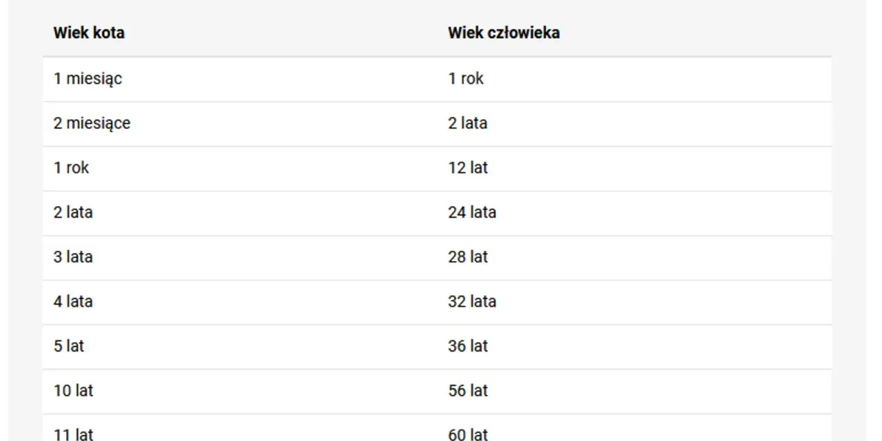 Tabela porównująca wiek kota i człowieka. 15 lat kota to ile ludzkich? Według tabeli, 15 lat kota to ok. 76 lat człowieka.