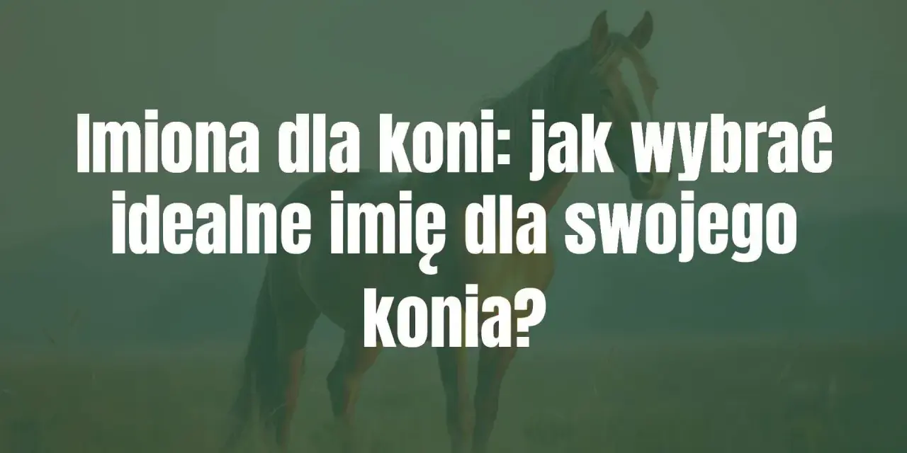 Imiona dla koni: jak wybrać idealne imię dla swojego konia? Piękny koń na tle zielonej łąki.
