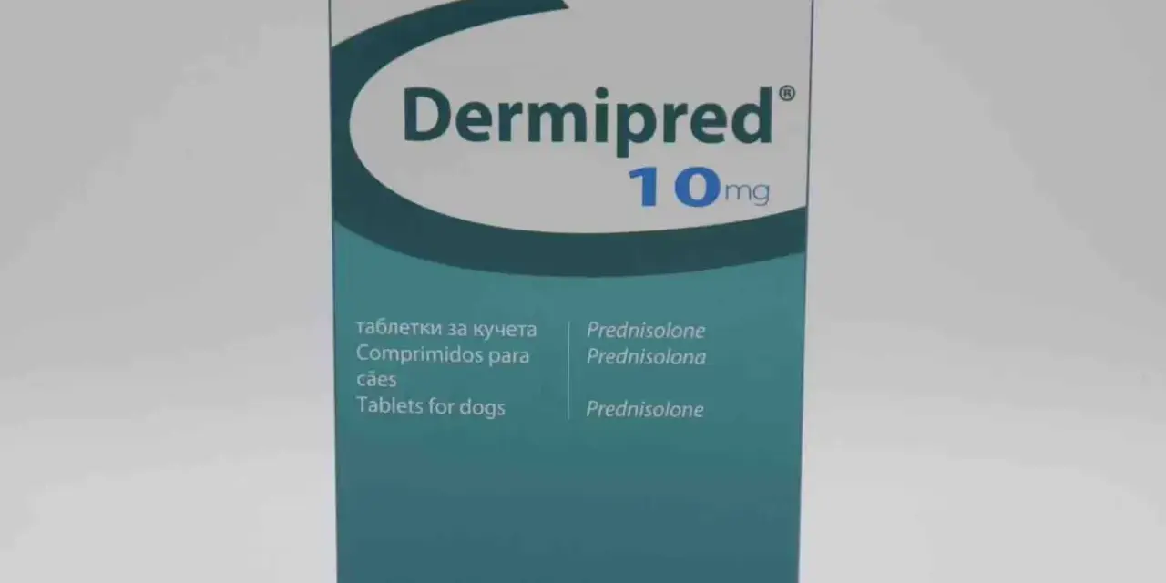 Dermipred 10mg to lek z prednizolonem, stosowany m.in. u psów.