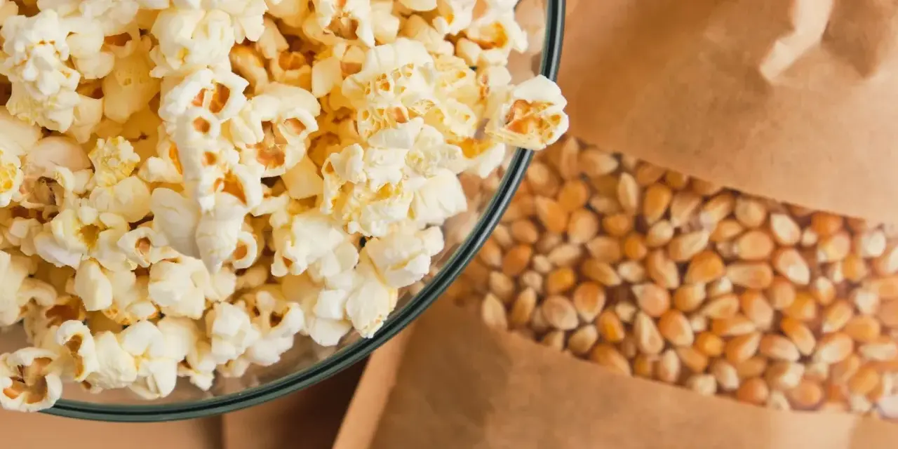 Czy koty mogą jeść popcorn? Poznaj ryzyka i zdrowe alternatywy