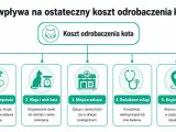 Ile kosztuje odrobaczenie kota? Zależy od preparatu, wagi i wieku zwierzęcia, miejsca zakupu, dodatkowych usług i regionu.