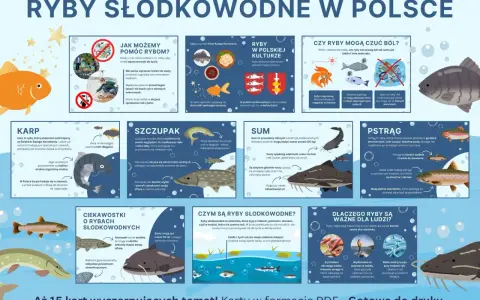 Karp, szczupak, sum i pstrąg – poznaj ryby słodkowodne w Polsce. Dowiedz się, jak im pomóc i dlaczego są ważne dla ludzi.