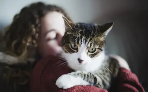 Kot w ramionach dziewczyny, czułe chwile felinoterapii.