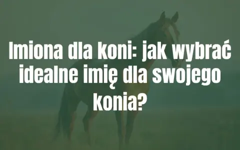 Imiona dla koni: jak wybrać idealne imię dla swojego konia? Piękny koń na tle zielonej łąki.