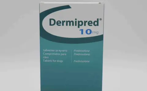 Dermipred 10mg to lek z prednizolonem, stosowany m.in. u psów.