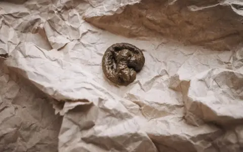 Kształtne odchody kota, przypominające małą spiralę, leżą na pogniecionej, brązowej papierowej torbie.