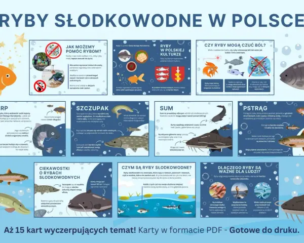 Karp, szczupak, sum i pstrąg – poznaj ryby słodkowodne w Polsce. Dowiedz się, jak im pomóc i dlaczego są ważne dla ludzi.