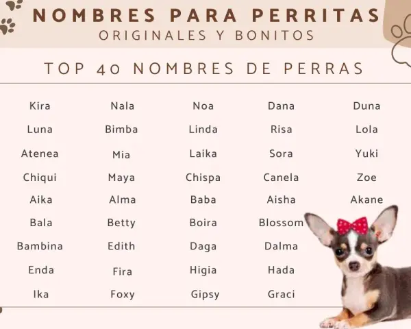 Lista imion dla suczki: Kira, Nala, Noa, Dana, Duna, Luna, Lola, Yuki, Zoe, Akane, Blossom, Dalma, Hada, Graci i wiele innych.