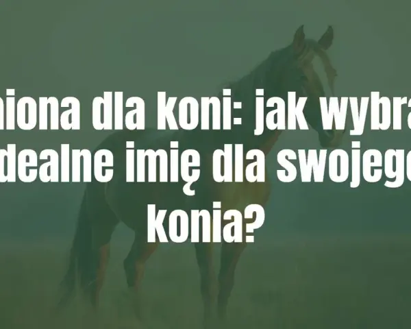 Imiona dla koni: jak wybrać idealne imię dla swojego konia? Piękny koń na tle zielonej łąki.