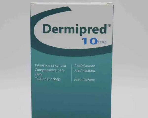 Dermipred 10mg to lek z prednizolonem, stosowany m.in. u psów.