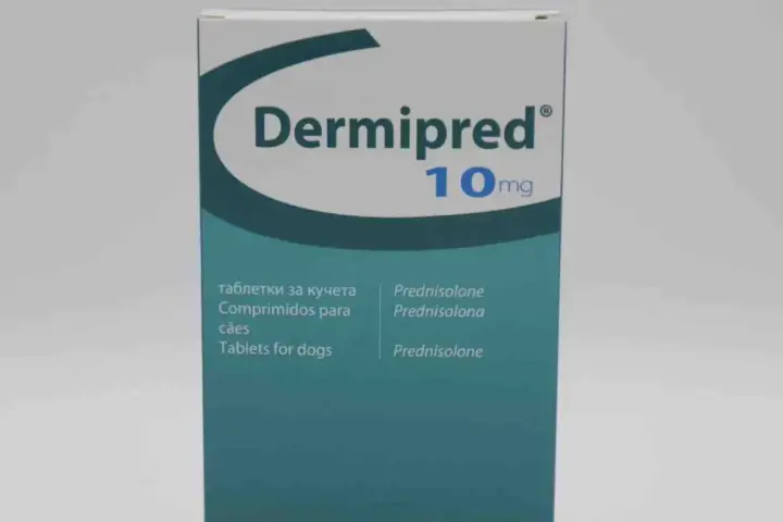 Dermipred 10mg to lek z prednizolonem, stosowany m.in. u psów.