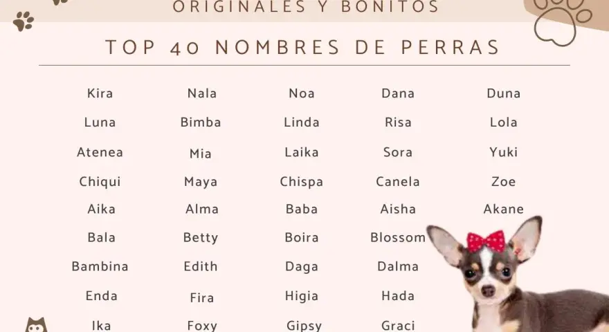 Lista imion dla suczki: Kira, Nala, Noa, Dana, Duna, Luna, Lola, Yuki, Zoe, Akane, Blossom, Dalma, Hada, Graci i wiele innych.