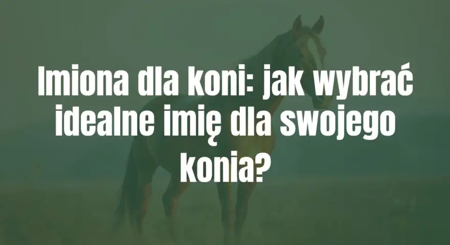 Imiona dla koni: jak wybrać idealne imię dla swojego konia? Piękny koń na tle zielonej łąki.