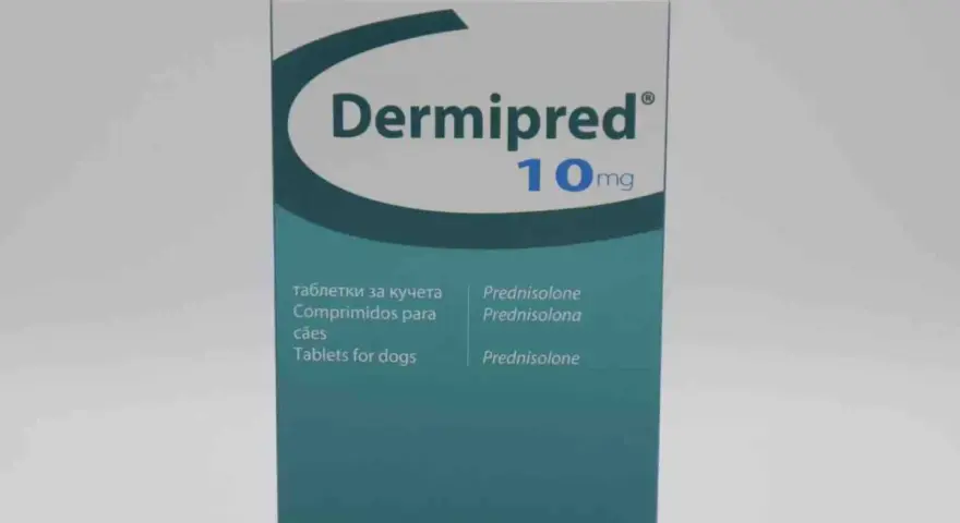 Dermipred 10mg to lek z prednizolonem, stosowany m.in. u psów.
