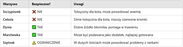 Czy koty mogą jeść szczypiorek? Sprawdź, jak go unikać dla zdrowia kota