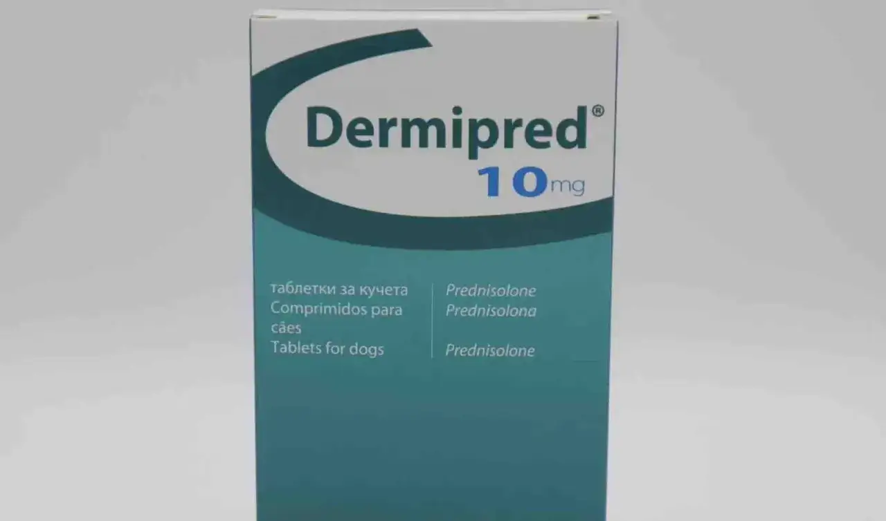 Dermipred 10mg to lek zawierający prednizolon, stosowany m.in. u psów.