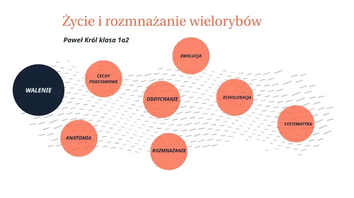 Zdjęcie Jak rozmnażają się wieloryby? Fascynujący proces i opieka matki