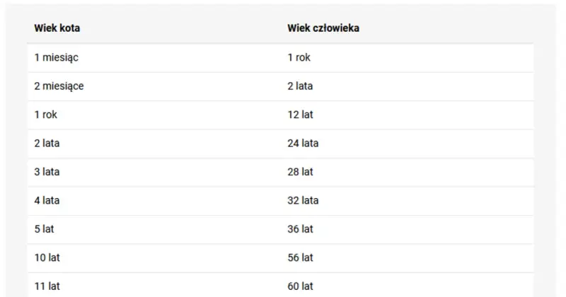 Tabela porównująca wiek kota i człowieka. 15 lat kota to ile ludzkich? Według tabeli, 15 lat kota to ok. 76 lat człowieka.